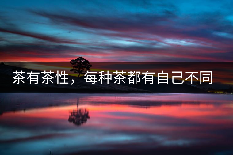 茶有茶性，每種茶都有自己不同的正確泡法