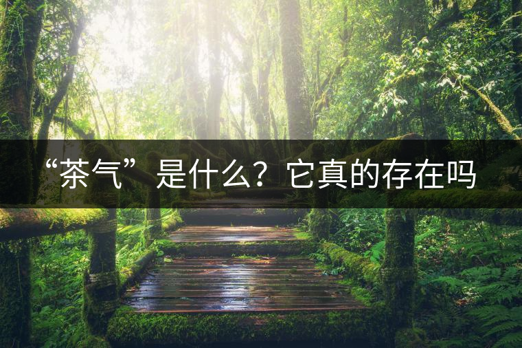 “茶氣”是什么？它真的存在嗎？