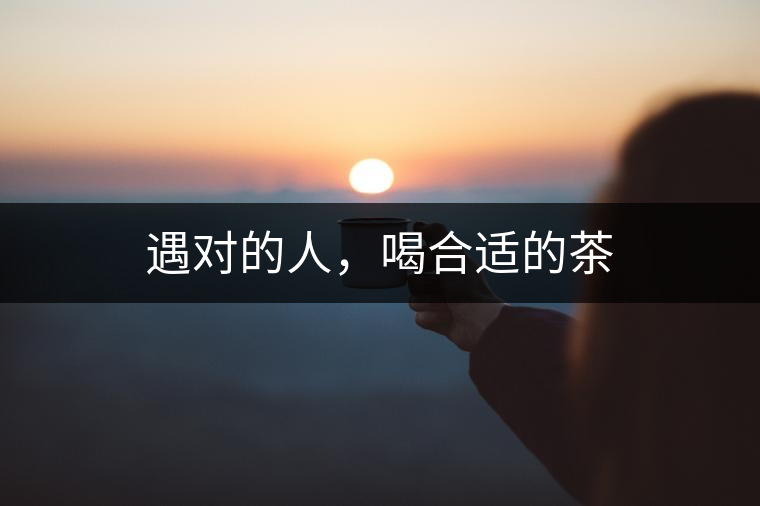 遇對的人，喝合適的茶