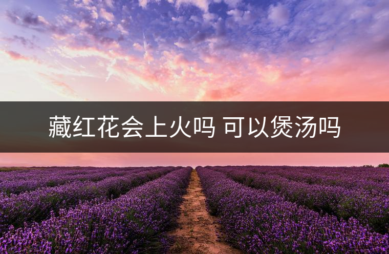 藏紅花會(huì)上火嗎 可以煲湯嗎 藏紅花會(huì)上火嗎 可以煲湯嗎