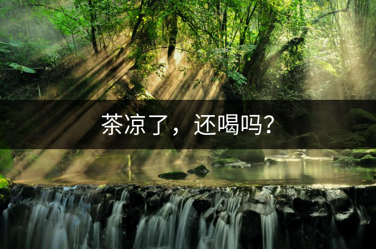 茶涼了，還喝嗎？