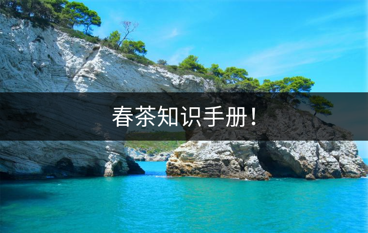 春茶知識(shí)手冊(cè)！