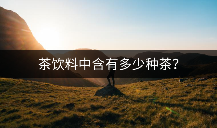 茶飲料中含有多少種茶？