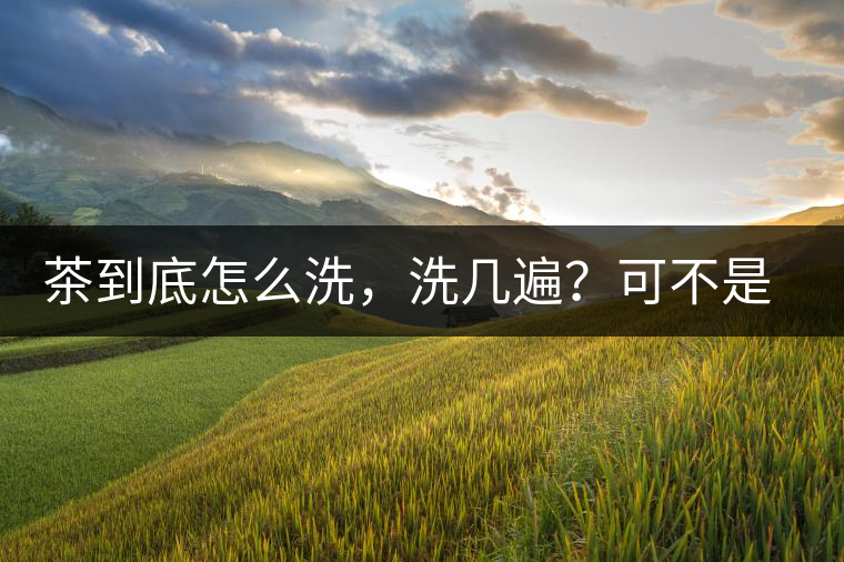 茶到底怎么洗，洗幾遍？可不是倒水進(jìn)去這么簡(jiǎn)單喲