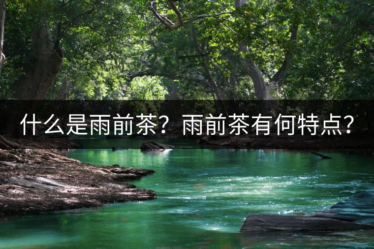 什么是雨前茶？雨前茶有何特點(diǎn)？