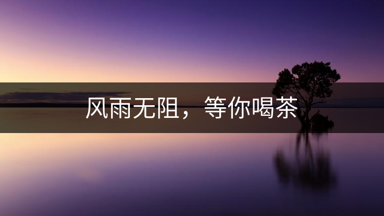 風(fēng)雨無阻，等你喝茶