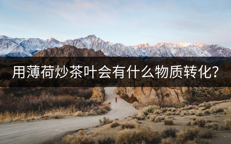 用薄荷炒茶葉會(huì)有什么物質(zhì)轉(zhuǎn)化？