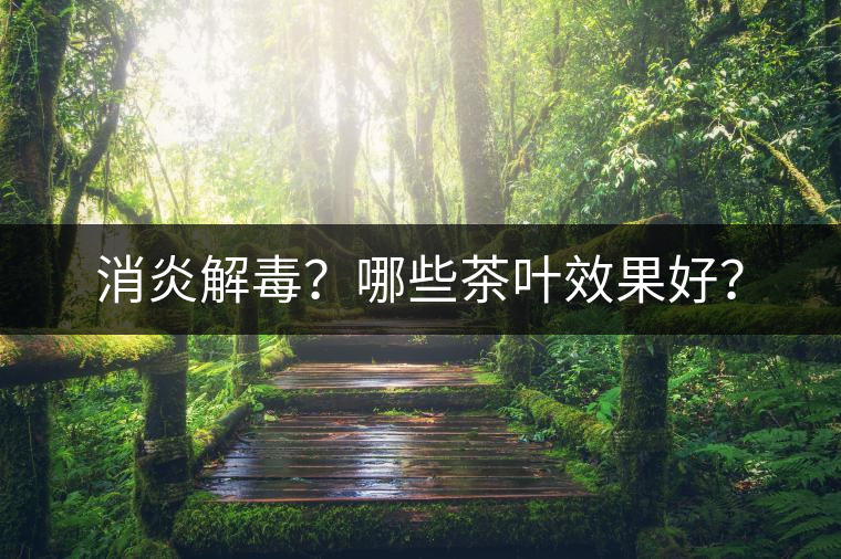 消炎解毒？哪些茶葉效果好？