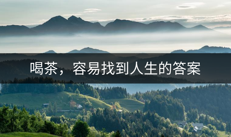 喝茶，容易找到人生的答案