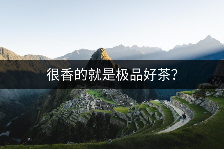 很香的就是極品好茶？