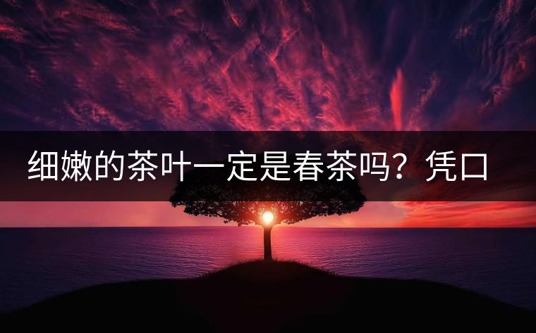 細(xì)嫩的茶葉一定是春茶嗎？憑口感鑒別春茶的方法