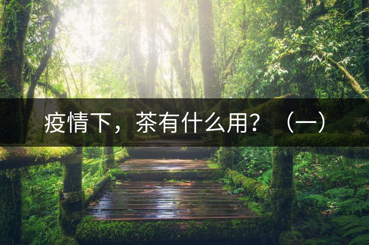 疫情下，茶有什么用？（一）