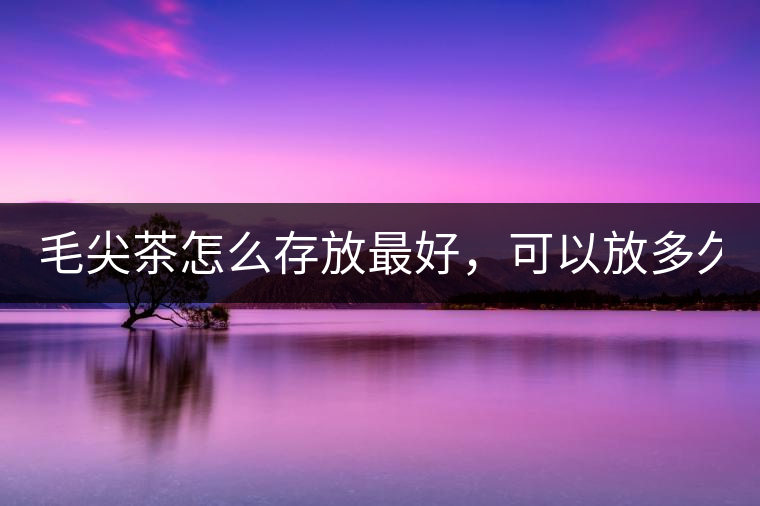 毛尖茶怎么存放最好，可以放多久？