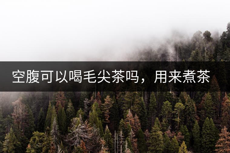 空腹可以喝毛尖茶嗎，用來煮茶葉蛋怎么樣？