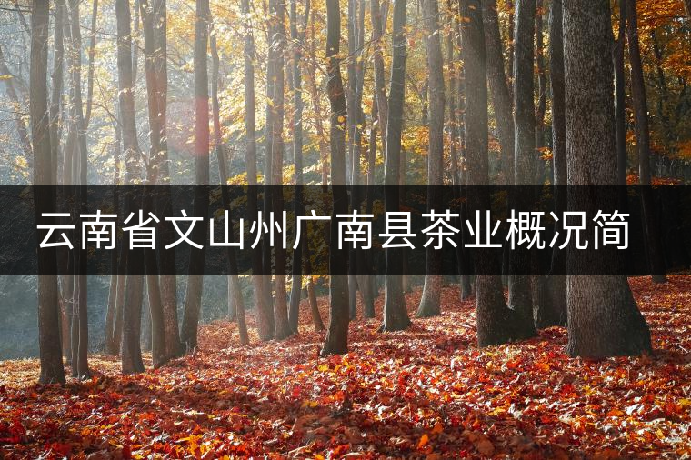 云南省文山州廣南縣茶業(yè)概況簡(jiǎn)述 云南省文山州廣南縣茶業(yè)概況簡(jiǎn)述