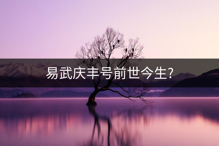 易武慶豐號前世今生?