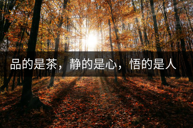 品的是茶，靜的是心，悟的是人生，滌的是靈魂