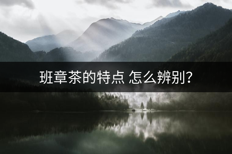 班章茶的特點(diǎn) 怎么辨別？