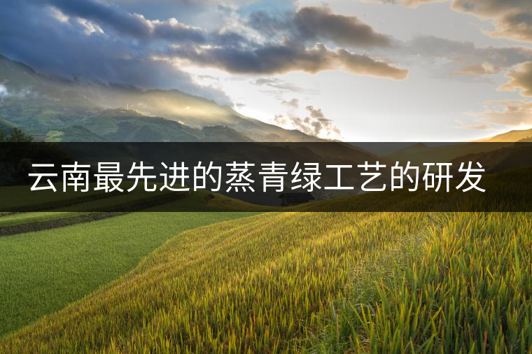 云南最先進(jìn)的蒸青綠工藝的研發(fā)者是誰(shuí)？