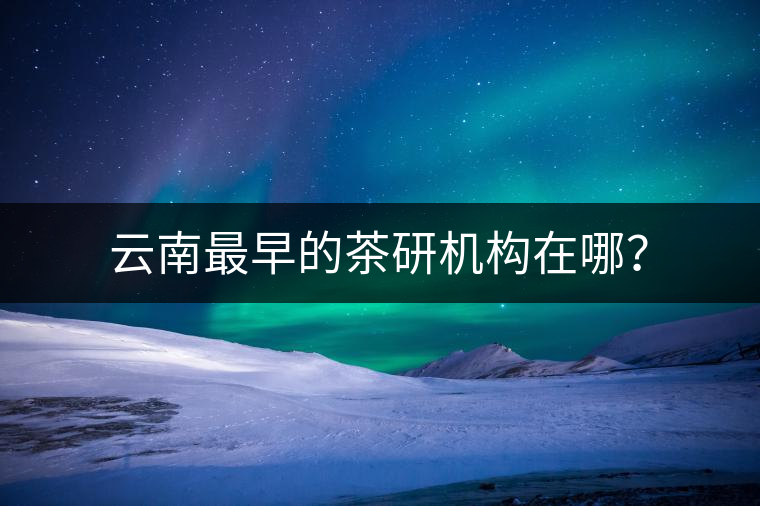 云南最早的茶研機(jī)構(gòu)在哪？
