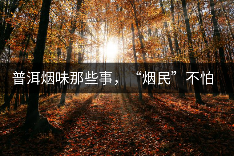 普洱煙味那些事，“煙民”不怕當(dāng)