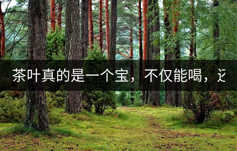 茶葉真的是一個(gè)寶，不僅能喝，還能用！