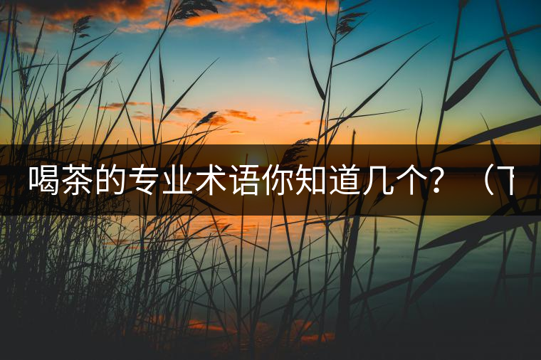 喝茶的專業(yè)術(shù)語你知道幾個(gè)？（下篇）