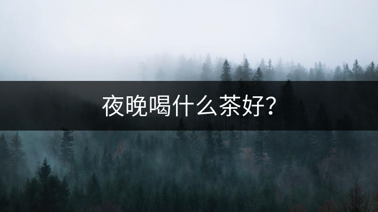 夜晚喝什么茶好？