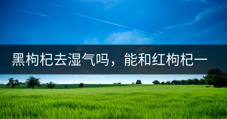黑枸杞去濕氣嗎，能和紅枸杞一起泡嗎？