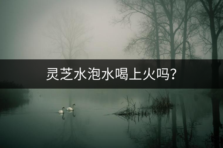 靈芝水泡水喝上火嗎？