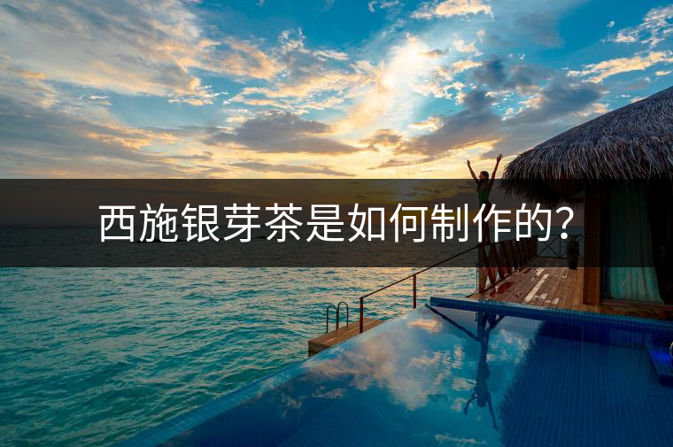 西施銀芽茶是如何制作的？