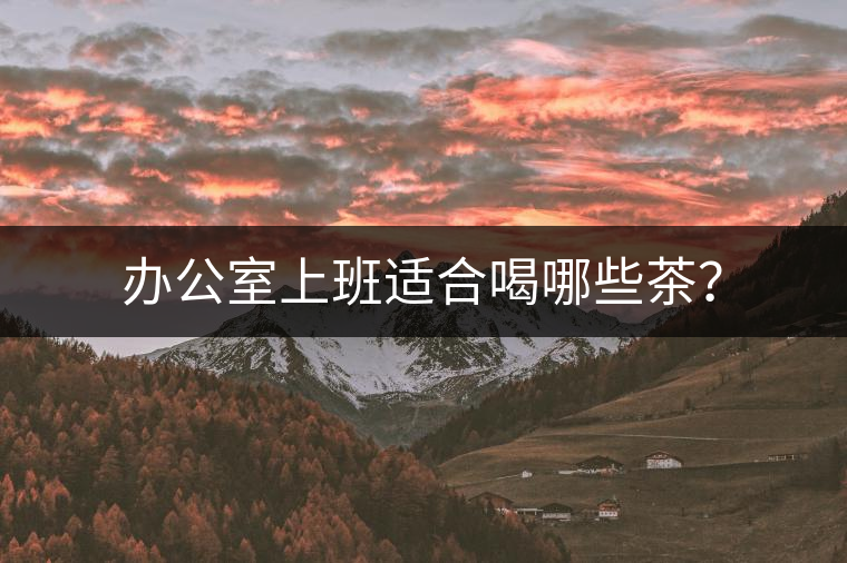 辦公室上班適合喝哪些茶？