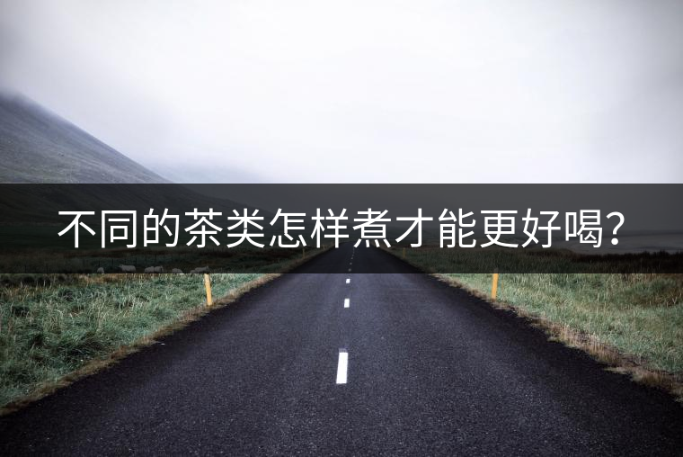 不同的茶類怎樣煮才能更好喝？