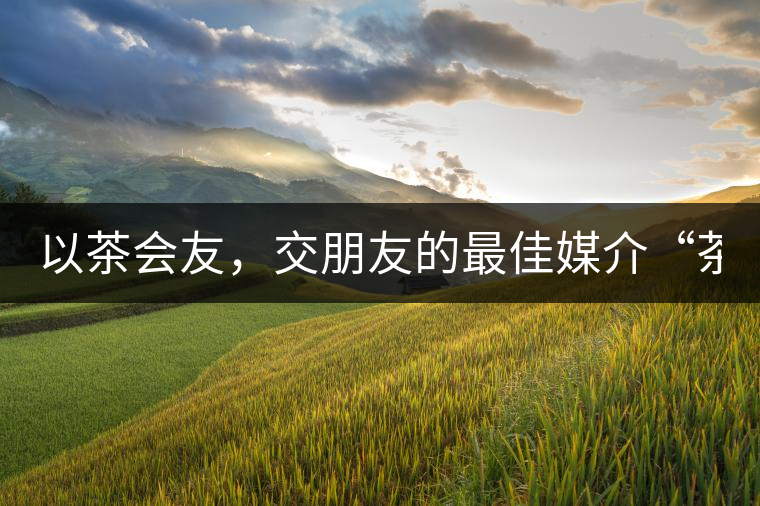 以茶會友，交朋友的最佳媒介“茶”！