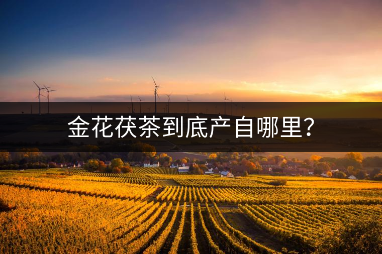 金花茯茶到底產(chǎn)自哪里？