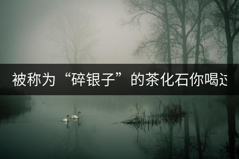被稱(chēng)為“碎銀子”的茶化石你喝過(guò)嗎？
