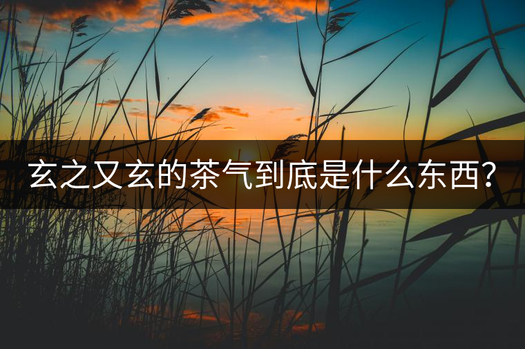 玄之又玄的茶氣到底是什么東西？