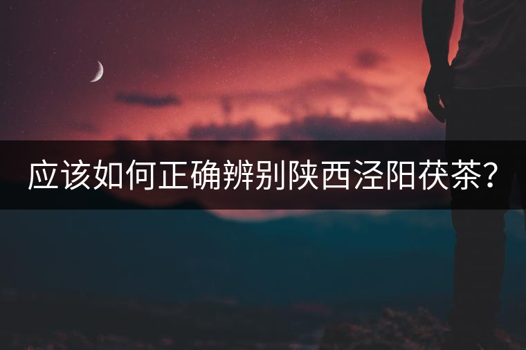 應該如何正確辨別陜西涇陽茯茶？