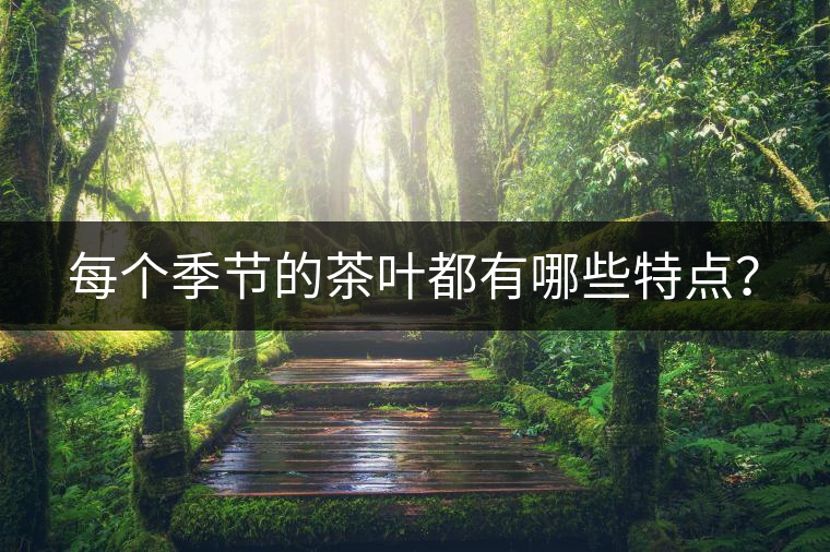 每個(gè)季節(jié)的茶葉都有哪些特點(diǎn)？