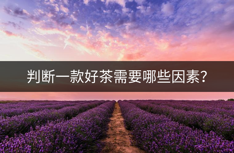 判斷一款好茶需要哪些因素？