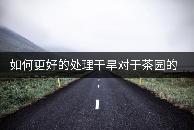如何更好的處理干旱對于茶園的影響？