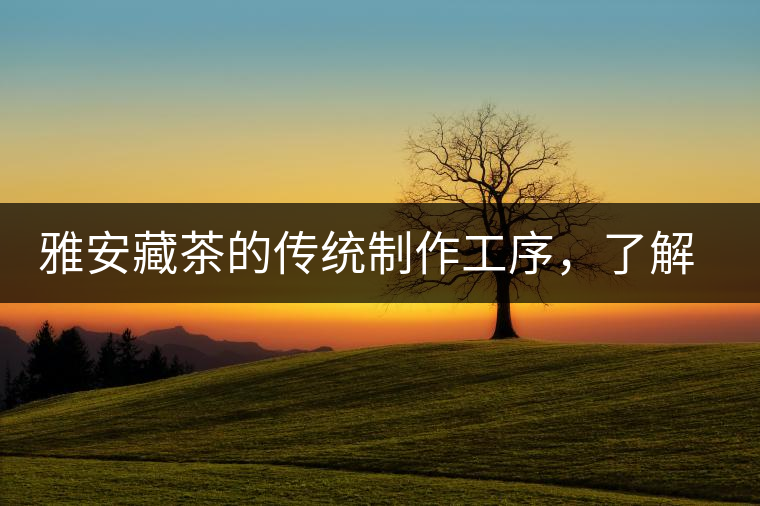 雅安藏茶的傳統(tǒng)制作工序，了解了傳統(tǒng)技藝才能更好的了解茶品！