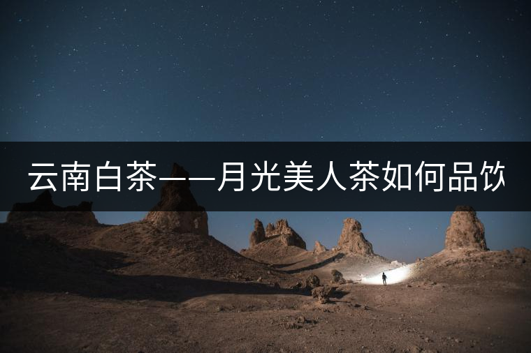 云南白茶——月光美人茶如何品飲？