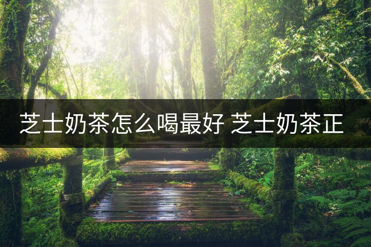 芝士奶茶怎么喝最好 芝士奶茶正確喝法 芝士奶茶怎么喝最好 芝士奶茶正確喝法