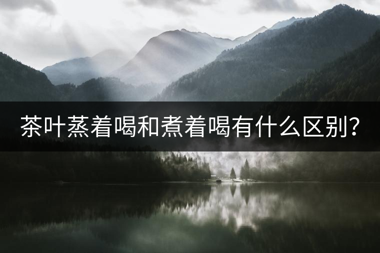 茶葉蒸著喝和煮著喝有什么區(qū)別？