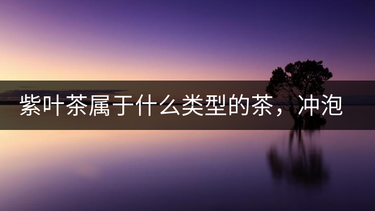 紫葉茶屬于什么類型的茶，沖泡需要注意什么？