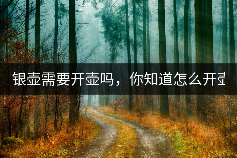 銀壺需要開壺嗎，你知道怎么開壺？