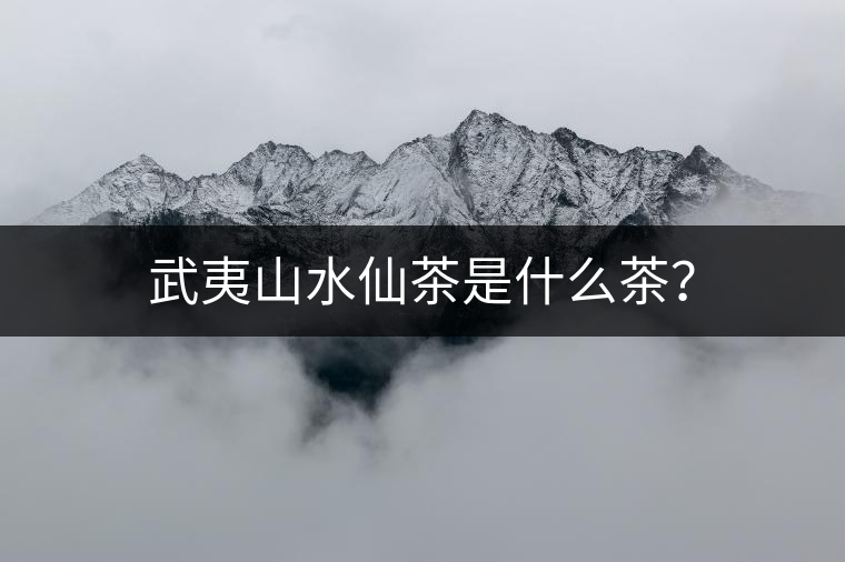 武夷山水仙茶是什么茶？