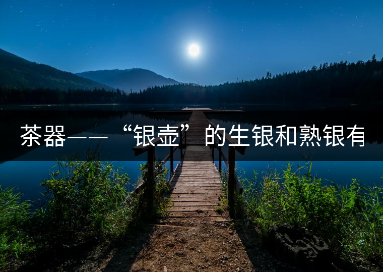 茶器——“銀壺”的生銀和熟銀有什么區(qū)別嗎？