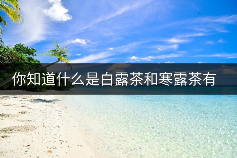 你知道什么是白露茶和寒露茶有區(qū)別嗎？